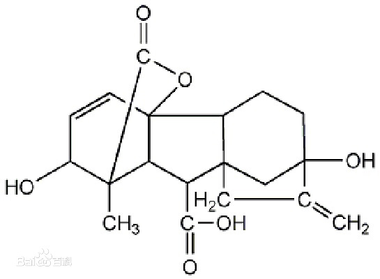 Gibberellic acid 赤霉酸 结构式.jpg